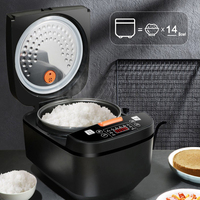 Cuiseur vapeur de riz électrique rapide et Intelligent, ustensile de cuisine multi-usage 5L noir pour micro-ondes en Aluminium antiadhésif