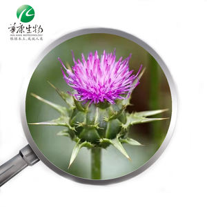 O <span class=keywords><strong>ISO</strong></span> aprovou o pó natural Silymarin 80% do extrato do cardo do leite - Product Image 1