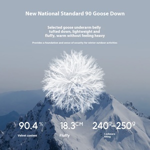 Piumino caldo di nuovo prodotto invernale da <span class=keywords><strong>uomo</strong></span> per lo stesso stile estremo freddo del 24 piumino invernale estremo freddo del centro commerciale - Product Image 6