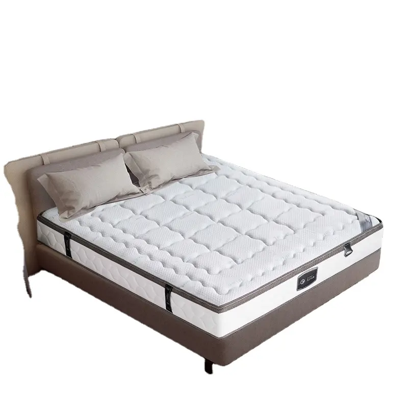 Wholesale Minimalism Style Student Dormitories Single Memory Foam Steel Wire Spring Mattress Cover with Zipper