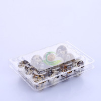 Plateau à œufs de caille pour 12 cellules plateau à œufs en plastique recyclable plateau à œufs de caille prix