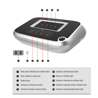 Appareil d'échographie portable, physiothérapie, machine de massage chauffante à pénétration profonde réglable pour usage clinique et domestique