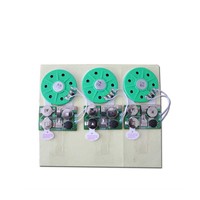 Module sonore élégant à bouton coulissant avec mécanisme vocal, puce audio enregistrable pour jouet éducatif, boîte cadeau, vente en gros