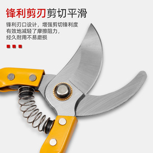 Garden Shears Bypass Pruner 10-20 Mm Cutting Capacity Yellow Handles Carbon Steel Blade For Fruit Picking And Pruning - Product Image 3