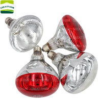 Lampe chauffante infrarouge rouge transparente de 250 W pour poussins et volailles, idéale pour l'élevage en ferme