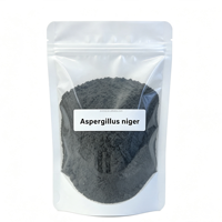 Polvo de Esporas de Aspergillus Niger 5 Mil Millones de UFC/g, Aditivo Alimentario con Enzimas de Aroma Neutro para la Digestión y Nutrición de Aves y Ganado