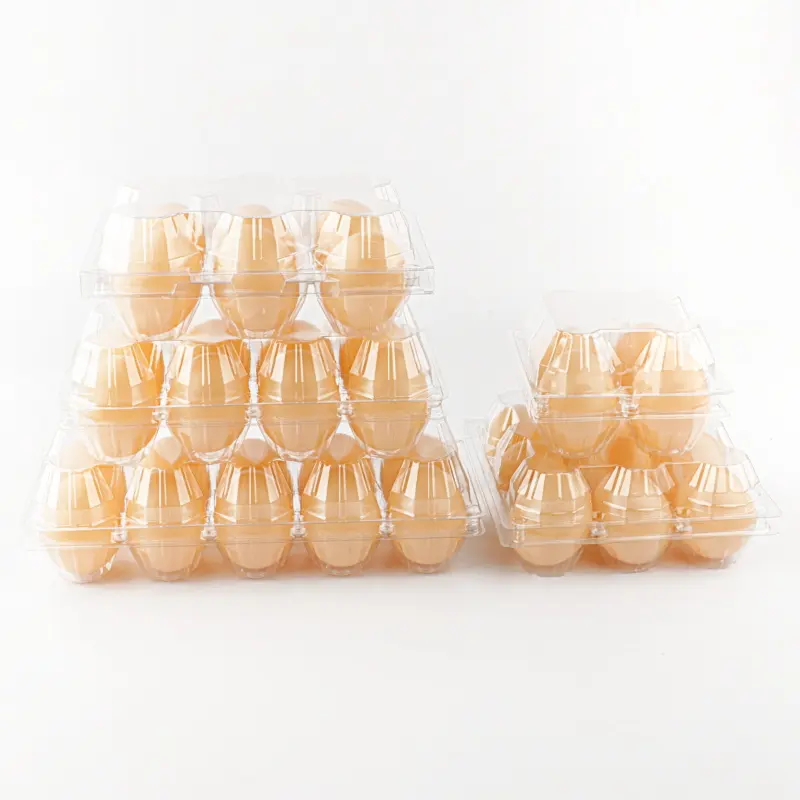プラスチック製卵トレイの鶏卵メーカー用の使い捨て卵容器ボックス