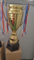 2025 usine directe en gros compétition sportive trophée en métal vente au détail générale Base en bois tasse de récompense pour les utilisateurs finaux d'assurance