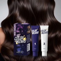 Kit Penghilang Pewarna Rambut Color Wizard Krim Pencerah Pigmen Warna Rambut Buatan Tidak Merusak Rambut untuk Perawatan Rambut Salon