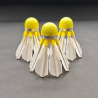 Volants de badminton Wifidea Park Player modèle 655 hybride 3-en-1 super durables pour usage intérieur/extérieur – En stock à prix réduit