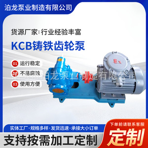 Pompe à engrenages en fonte Bolong Kcb, corps en acier inoxydable 304, entraînement électrique pour la fabrication - Product Image 5