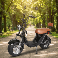 Scooter électrique de style Harley à deux roues avec pneus larges, 2000W, 60 km/h, pour les excursions quotidiennes dans les parcs et les zones touristiques