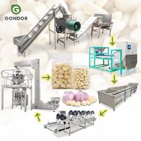 Machine automatique verticale de 500 kg pour l'épluchage, le séparateur de gousses et le tri des gousses d'ail noir, avec fonction de rupture de ligne