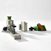 Ligne de granulation de granulés EPS grande capacité, machine de granulation de déchets pour le recyclage de mousse EPS, vente à prix réduit