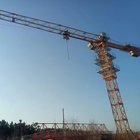 Grue à tour sans cabine 8T 55M pour la construction, avec moteur et boîte de vitesses, moment de charge élevé