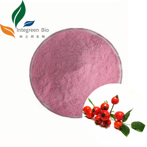 Polvo de <span class=keywords><strong>Rosa</strong></span> Mosqueta, Polvo de Fruta de <span class=keywords><strong>Rosa</strong></span> Mosqueta, Polvo de Fructus Rosae, Polvo de Jugo de <span class=keywords><strong>Rosa</strong></span> Mosqueta con Precio al por Mayor, Empaquetado en Barriles/Bolsas - Product Image 1