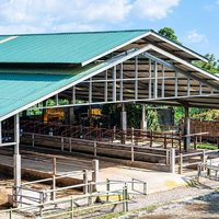 Abri pour bétail en acier léger à faible coût, hangar préfabriqué galvanisé pour moutons, bâtiment d'élevage à installation rapide