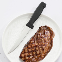 Ensemble de 6 couteaux à steak en gros, manche en PP, acier antirouille, OEM, faible quantité minimale, meilleure offre, vente chaude