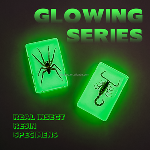 Espécimen de resina Taxidermia Animal espécimen de resina luminoso 15 espécimen conjunto iluminación Natural juguetes para niños - Product Image 4