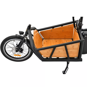 <span class=keywords><strong>Bicicletta</strong></span> <span class=keywords><strong>Elettrica</strong></span> Cargo Olandese da Città a 2 Ruote <span class=keywords><strong>con</strong></span> Motore Centrale Senza Cesto Anteriore o Cassone - Product Image 2