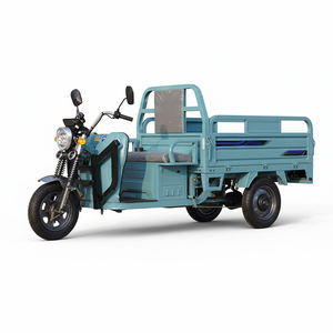 Tricycle à trois roues à essence économique de 150 cm3, excellent rendement - Product Image 4