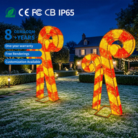 Motif lumineux personnalisé en forme de canne à sucre 2D, imperméable IP65, multicolore, indice de fidélité des couleurs élevé 95, pour aménagement paysager, fêtes, festivals, Noël