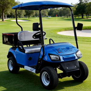 Carrito de Golf Eléctrico de 6 Plazas con Pantalla de Velocímetro y Luz Personalizable para Escenarios de Turismo Ecológico en Zonas Húmedas - Product Image 4