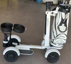 Scooter électrique à trois roues Loyall, GPS, pliable, étanche, batterie au lithium, 4000W, double moteur - Product Image 5