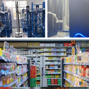 Robot Móvil Autónomo (AMR) con Brazo Robótico Colaborativo de un Solo Brazo para Automatización de Almacenes y Manipulación Logística Industrial - Product Image 6