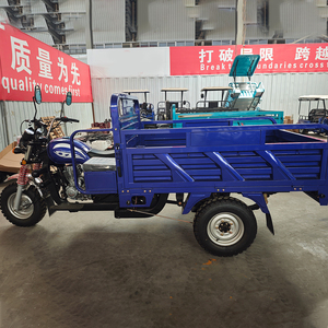 Promotion 2026 : <span class=keywords><strong>Moto</strong></span>-tricycle utilitaire à essence 3 roues, capacité de charge 400 kg, 150 cm³ - Product Image 5