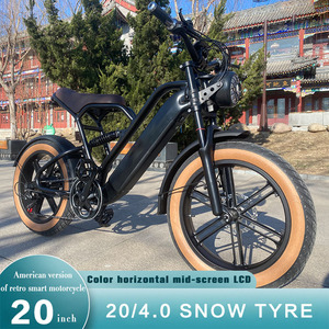 Offre Spéciale 750W 48V suspension complète électrique 20 pouces haute vitesse Ebike Fat E Mountain 4.0 neige pneu vélo électronique - Product Image 6