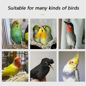 Çoklu Kuşlar İçin Geniş Muhabbet Kuşu Kafesi, Metal Tel Havalandırmalı İç Mekan Kullanımı Muhabbet Kuşu Kafesi, Kuş Kafesi - Product Image 2