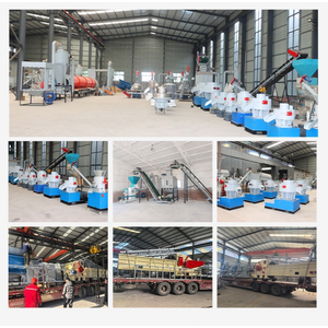 Nouvelle conception de machine à granulés de bois faite maison, machine à granulés de bois durable, petite machine à granulés de biomasse pour la maison - Product Image 5