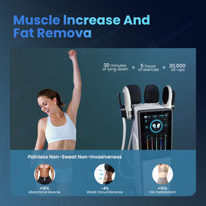 Máquina ardente gorda beleza profissional/máquina elétrica do emagrecimento do ímã do músculo - Product Image 5