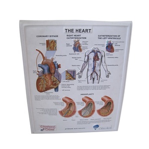 Tabla de calendario médico de Anatomía Humana, impresión personalizada, tabla médica de corazón humano - Product Image 2