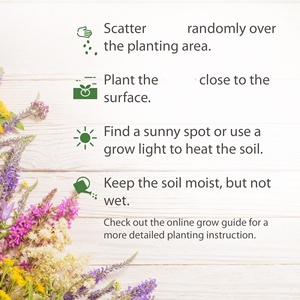 Mezcla de 21 Flores Silvestres No Transgénicas para Jardín de Abejas y Mariposas, Paquete Variado de Flores Anuales, Plantación Nativa para tu Jardín - Product Image 3