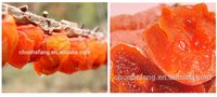Heetverkopende natuurlijke zoete persimmon, vers fruit met heerlijke smaak, gemaakt in China