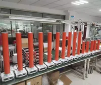 Divisor de Alto Voltaje: Dispositivo Portátil de 50kv a 300kv AC/DC
