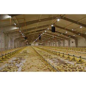Bâtiment à structure en acier de Chine poulailler préfabriqué ferme de poulets à bas <span class=keywords><strong>prix</strong></span> - Product Image 4