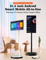 Écran tactile de 27 pouces Stand By Go Écran intelligent de divertissement extérieur familial portable emballé dans une mallette