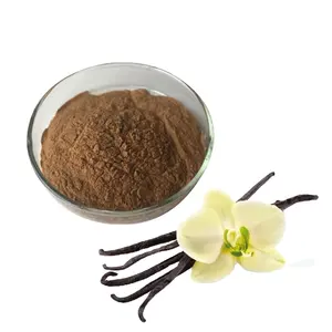Großhandel Bulk beste Qualität Bio getrocknete Indonesien Vanille schoten Extrakt Pulver