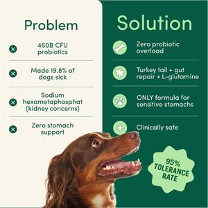 Breath <strong>Buddy</strong> Dog Cat Dental Powder Supplement Teeth Cleaning Breath Freshener Removes Plaque Tartar Gentle Formula for Sensitive - Product Image 2