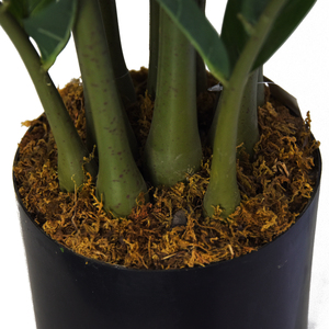 Árbol artificial de Zamiifolia, bonsái, árbol artificial alto, plantas artificiales, follaje artificial para decoración de interiores y exteriores, sala de estar. - Product Image 6