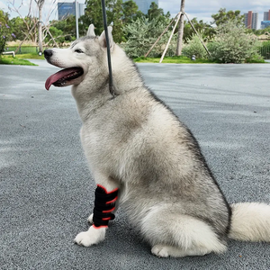 Lampu merah terapi 660nm 850nm, alat terapi cahaya merah terbaik EMF 0 untuk anjing kucing peliharaan pereda nyeri radang sendi - Product Image 4