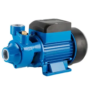 Dc Open Put Perifeer Kleine Benzine Dompelbare Waterpomp Ce 12V 24 Volt Elektrisch Gietijzer Qb Draagbare Slimme Pomp Odm 1 Jaar