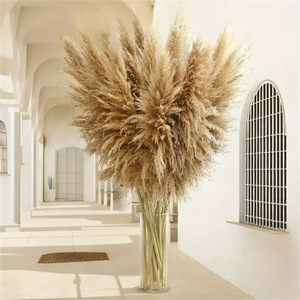 Khô tự nhiên pampas cỏ lớn Fluffy cao trang trí hoa cho đám cưới hoặc trang trí nội thất nhà Máy Giá quà tặng cho năm mới - Product Image 4