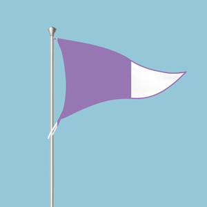 Bandera de señal de código marino, tela de poliéster gruesa de doble cara, pedido a largo plazo, venta al por mayor - Product Image 2