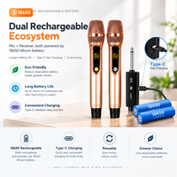 Microphone sans fil professionnel UHF double canal rechargeable avec 50 fréquences réglables pour scène, karaoké et fêtes