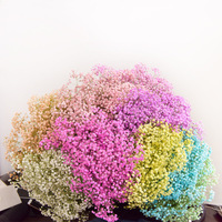 Fleurs séchées de gypsophile naturelles préservées couleur personnalisée, tige de 55-60 cm, pour la Fête des Mères, cadeau de vacances, fourniture de matières premières pour fleuristes