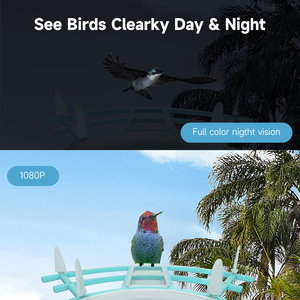 Mangeoire à <span class=keywords><strong>oiseaux</strong></span> intelligente de haute qualité avec reconnaissance AI Vision nocturne et stockage en nuage pour une utilisation en intérieur Compatible avec <span class=keywords><strong>les</strong></span> applications Vico Home - Product Image 6